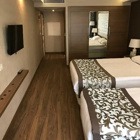 艾斯拉酒店 4* 安卡拉